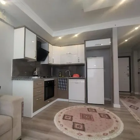Apartamento Safran House